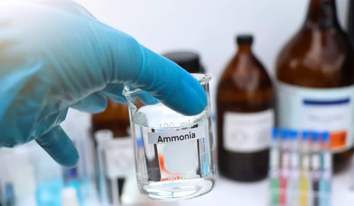 ammonia_25-1200x700 (1) does ammonia kill mold spores