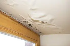 images (5) Ceiling water damage