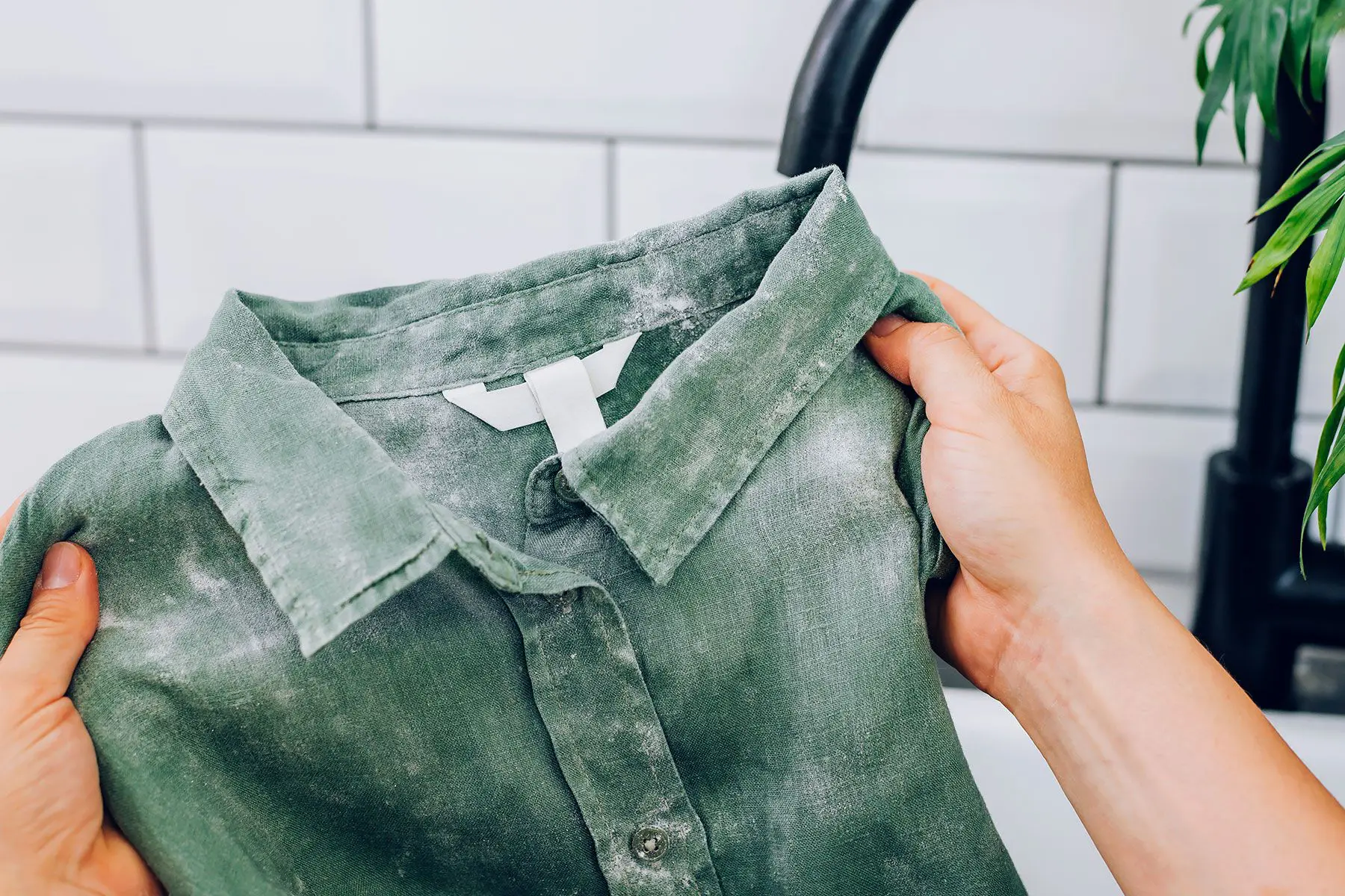 Does Ammonia Kill Mold on Fabric Does Ammonia Kill Mold on Fabric