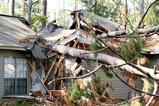 Storm Damage Cleanup in Grand Rapids