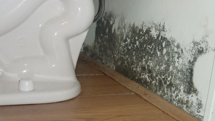 When Is Mold Remediation Required