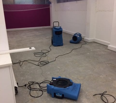 Dehumidifier reducing humidity to prevent mold growth