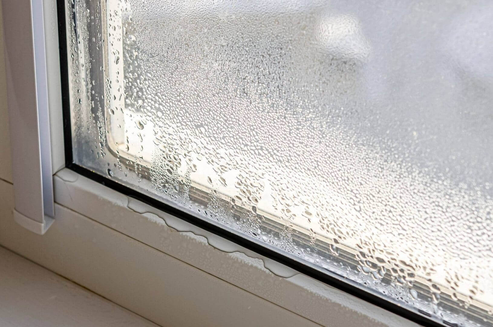 How Humidity causes Mold Growth in Grand Rapids Homes