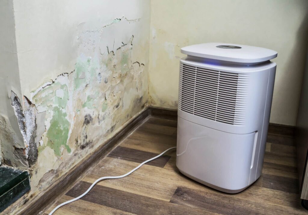 Mold Removal in Grand Rapids Mold Removal in Grand Rapids