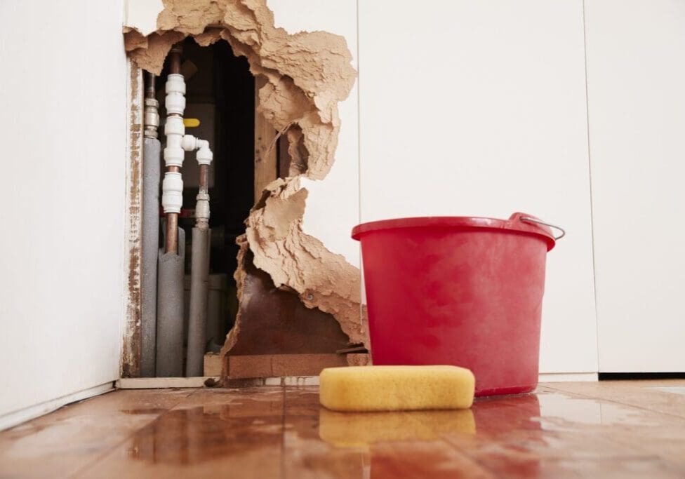How to Prevent Mold After Water Damage How to Prevent Mold After Water Damage