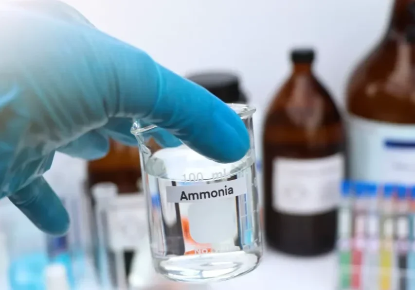 ammonia_25-1200x700 (1) does ammonia kill mold spores