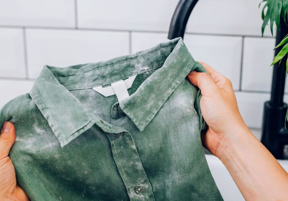 Does Ammonia Kill Mold on Fabric Does Ammonia Kill Mold on Fabric