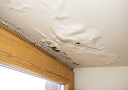 Ceiling water damage